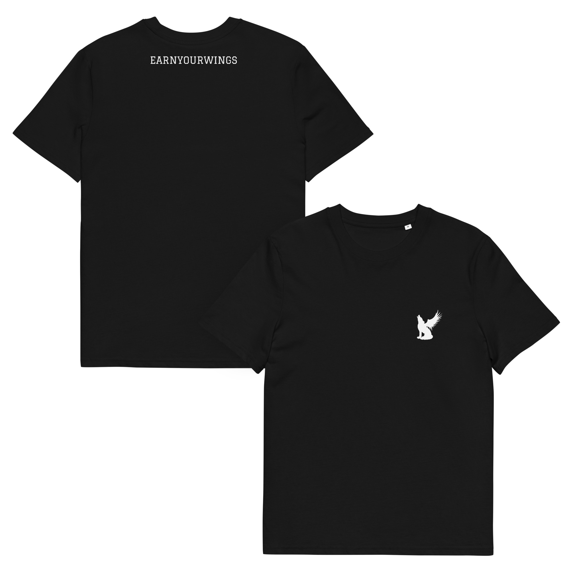 TS-EYW 1