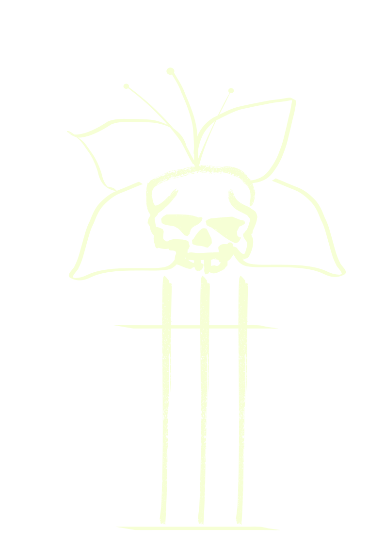 Chaos in the GRDNOFIII
