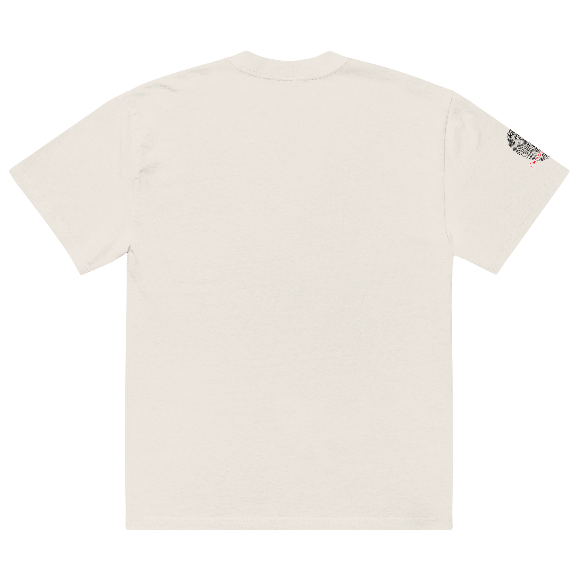 TS-ASF-05 - Image 4