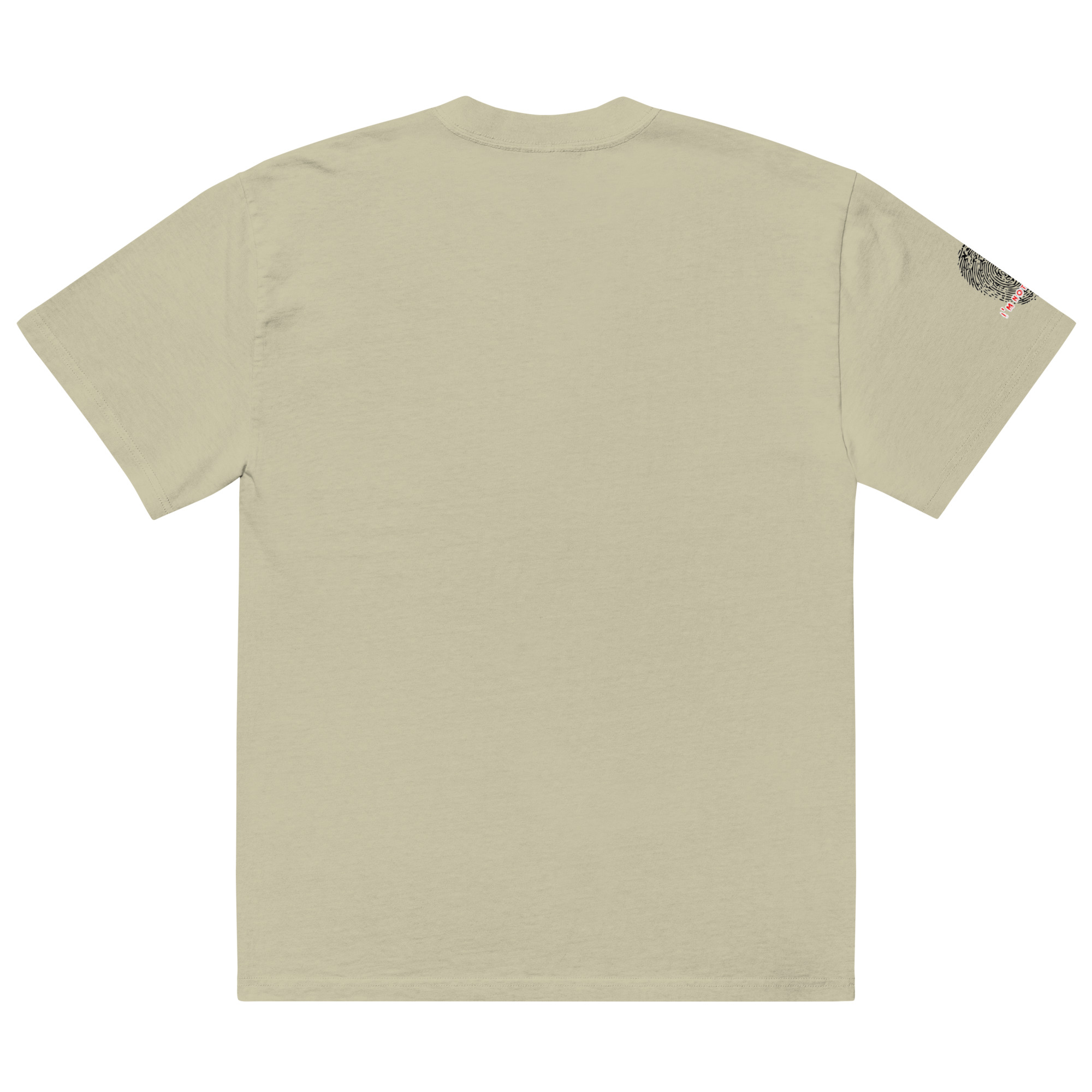 TS-ASF-05
