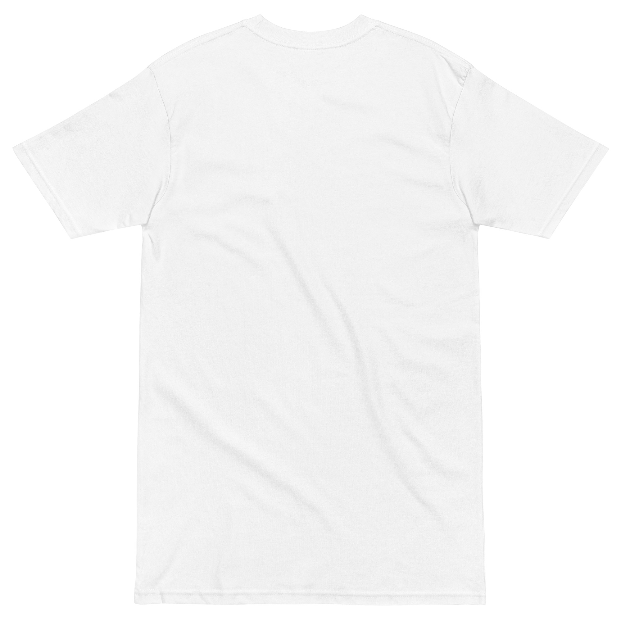 TS-ASF-01 - Image 12